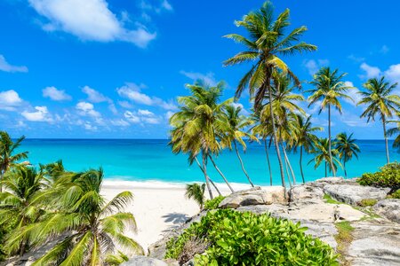 Barbados Image