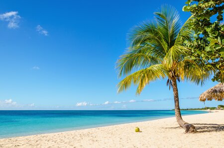 Caribbean image