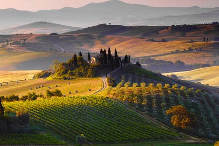 Val d'Orcia & near Cortona Image
