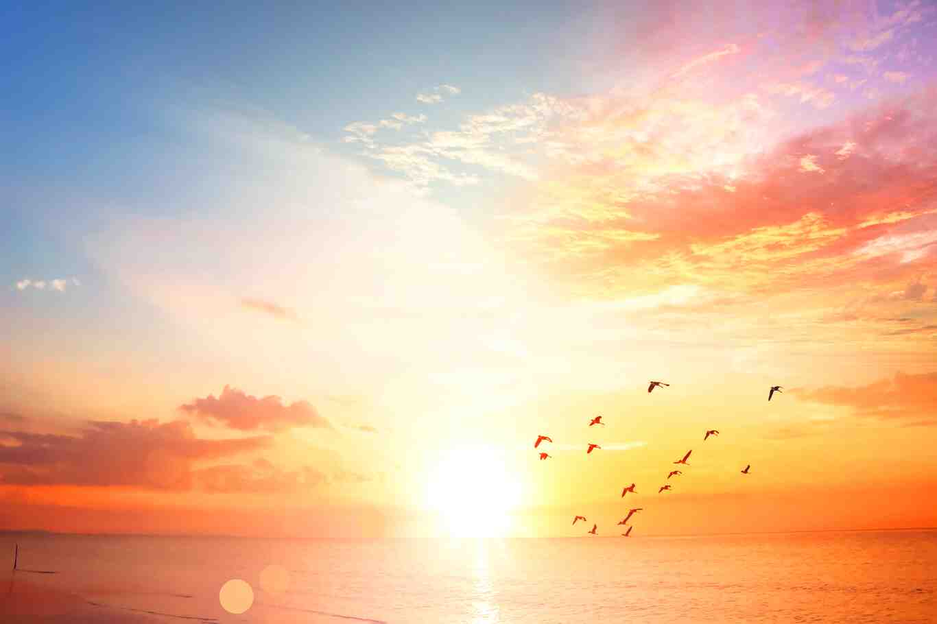 Loading photo