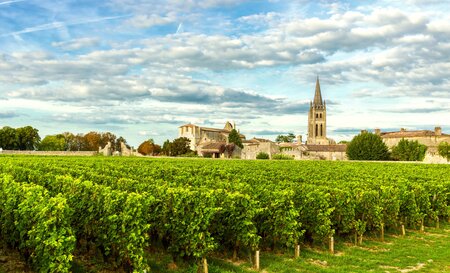 Bordeaux Image