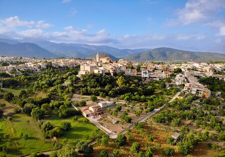 Campanet Image